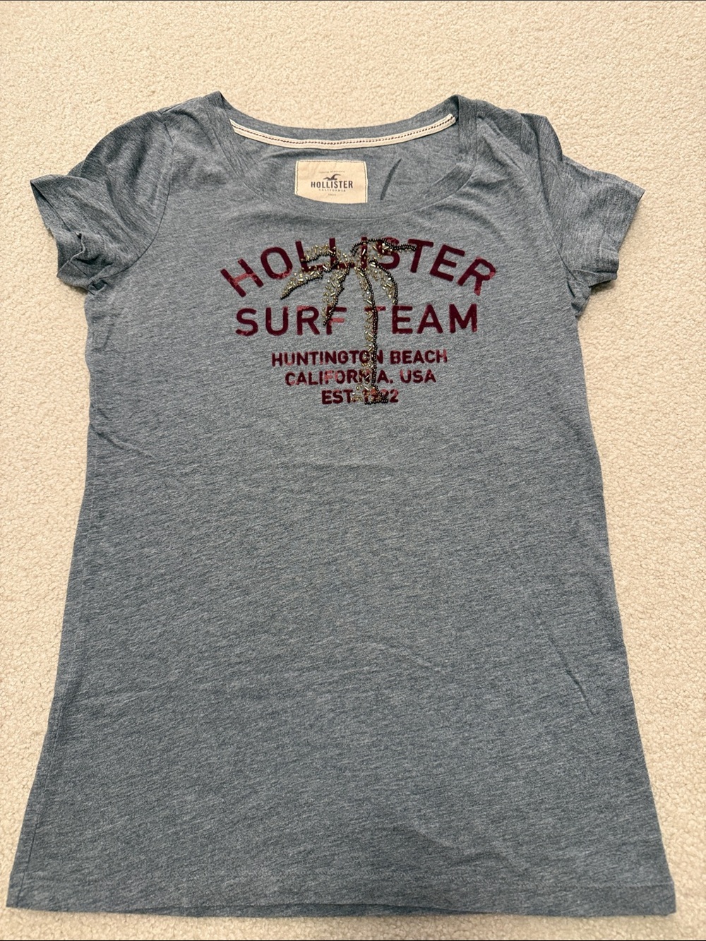Hollister Heather Gray Surf Team Graphic Tee with Burgundy & Gold Accents